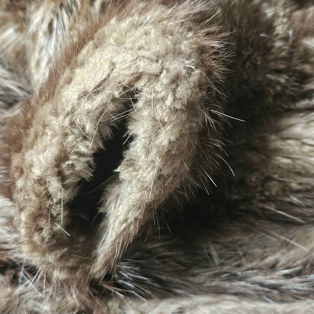 Evans Full Length Beaver Fur Coat M - Picture 10 of 10